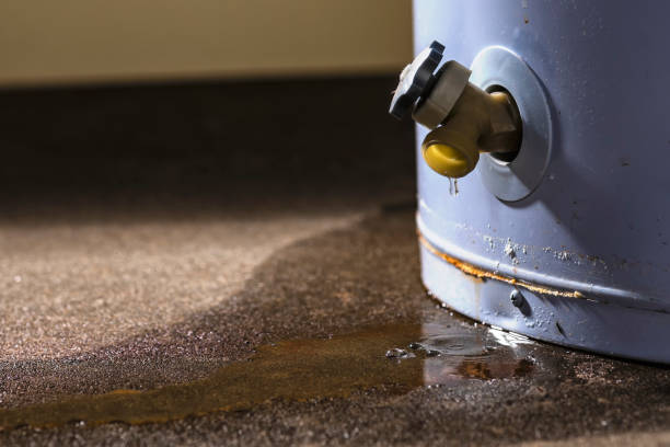 Best Water damage restoration near me  in Volo, IL