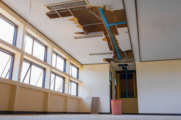 Best Local water damage restoration  in Volo, IL
