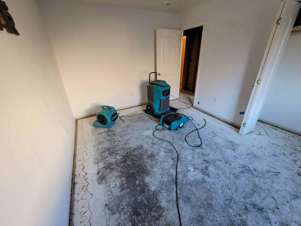 Best Water damage contractors near me  in Volo, IL