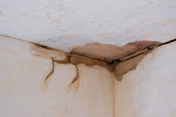 Reliable Volo, IL Water damage restoration Solutions