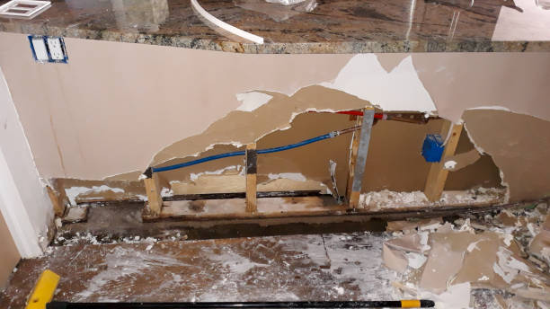 Best Residential water damage restoration  in Volo, IL
