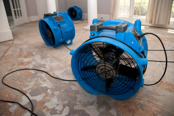 Best Flooded house restoration  in Volo, IL