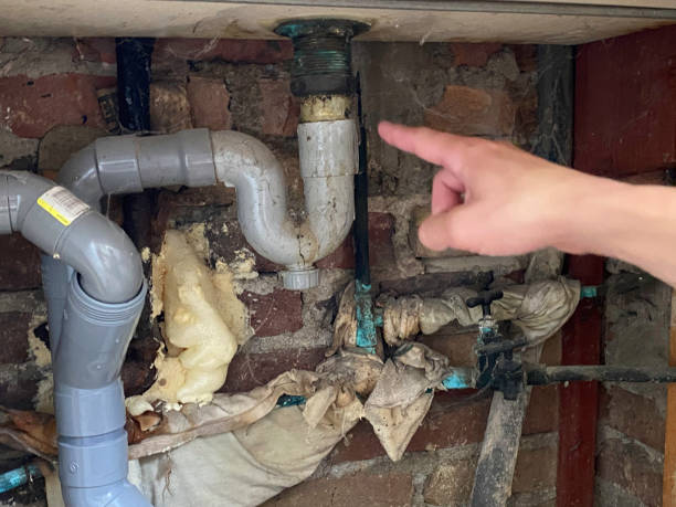 Best Water damage restoration mold remediation  in Volo, IL