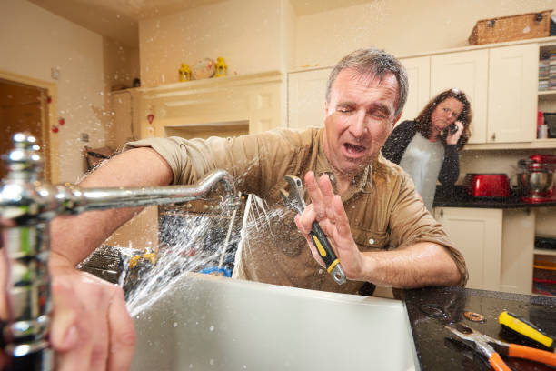 Water damage restoration mold remediation in Volo, IL